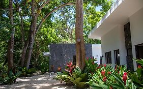 Hotel Bosques De Pinilla